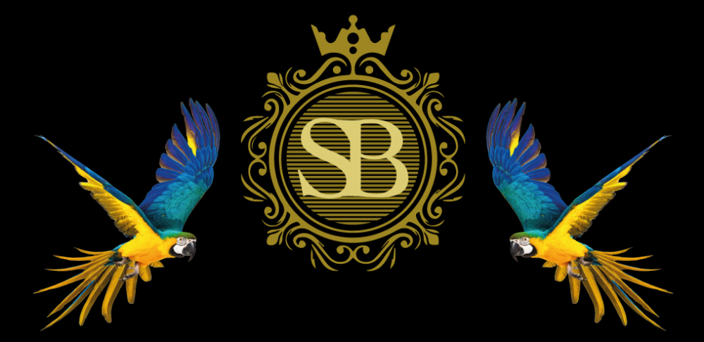 LOGO-Saveurs-du-Bresil